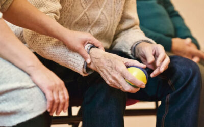 Designing the Ideal Home Addition for Aging Parents