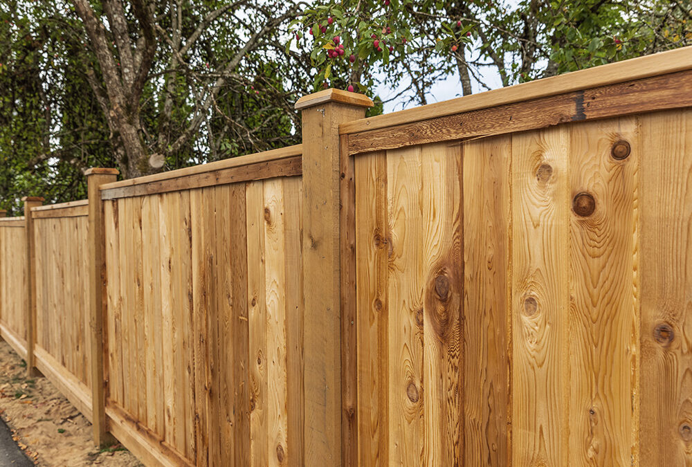 DIY Fence Installation vs. Hiring a Professional: Which Is Right for You?