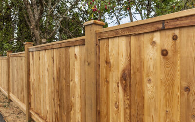 DIY Fence Installation vs. Hiring a Professional: Which Is Right for You?